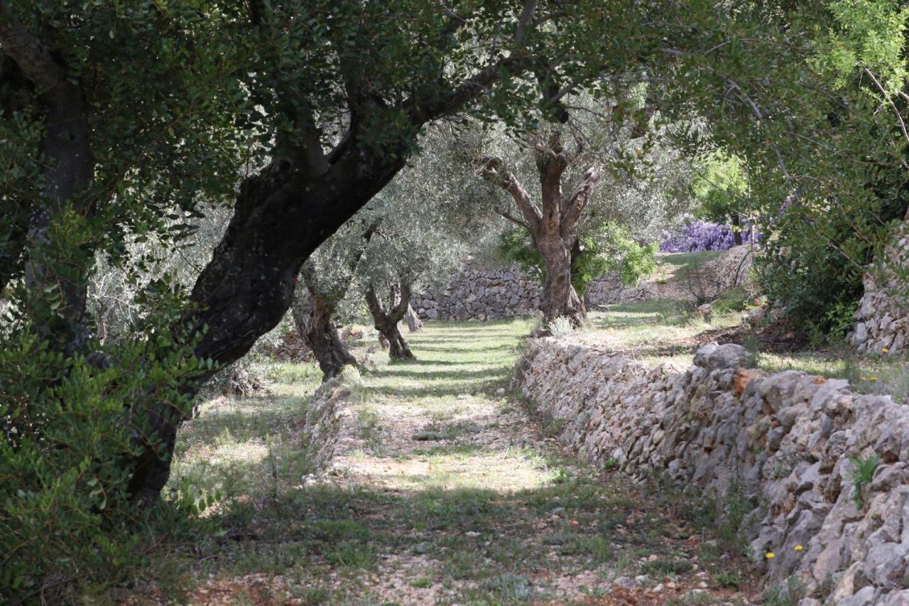 Benigembla Villa Foia Vella - Adults Only المظهر الخارجي الصورة