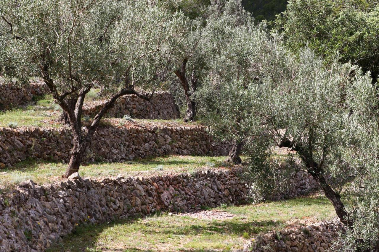 Benigembla Villa Foia Vella - Adults Only المظهر الخارجي الصورة